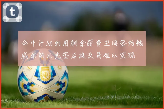 公牛计划利用剩余薪资空间签约鲍威尔热火先签后换交易难以实现