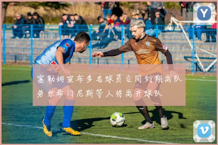 富勒姆宣布多名球员合同到期离队劳尔希门尼斯等人将离开球队